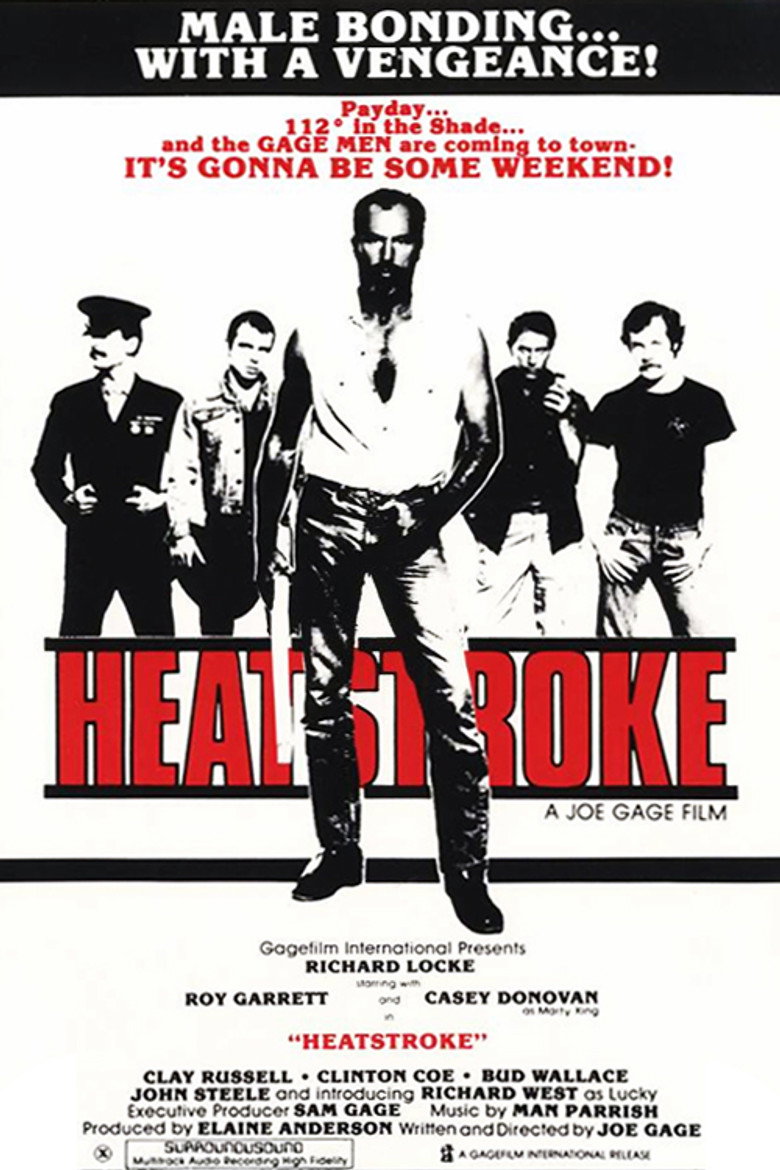 Heatstroke — image 3