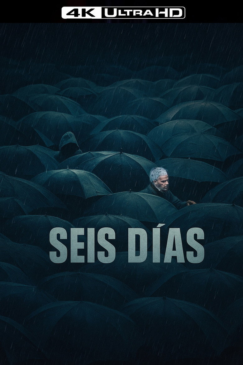 Póster la Película