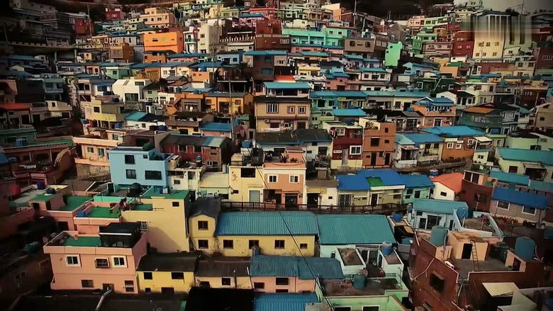 Still image for The Big Bug season 1 episode 1: Episode 1