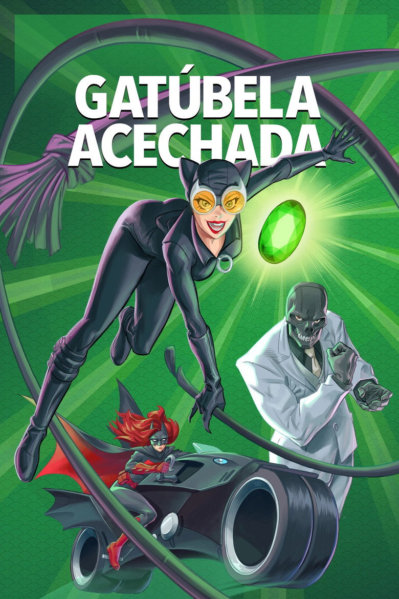Póster la Película