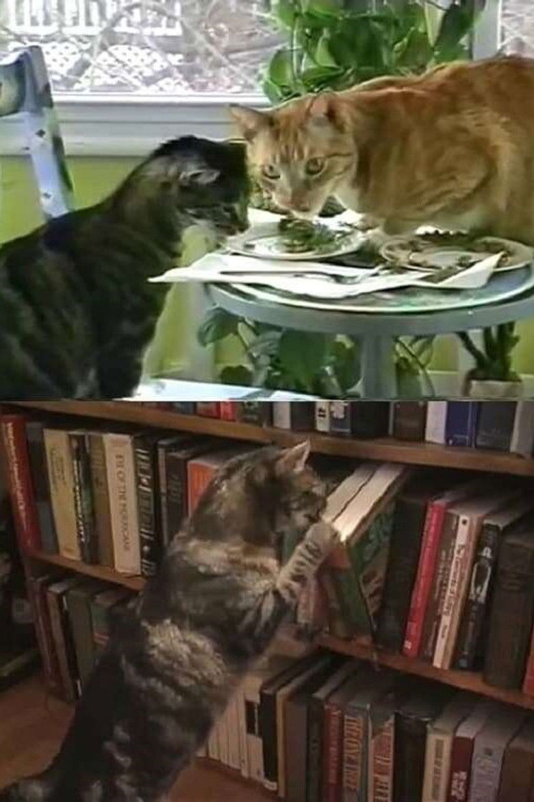 Imatge de Catastrophy