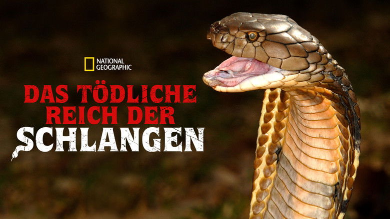 World's Deadliest Snakes backdrop 8