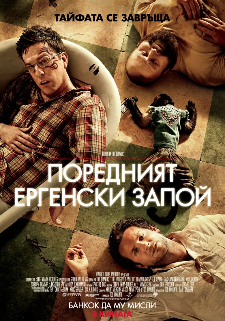 Поредният ергенски запой (2011)