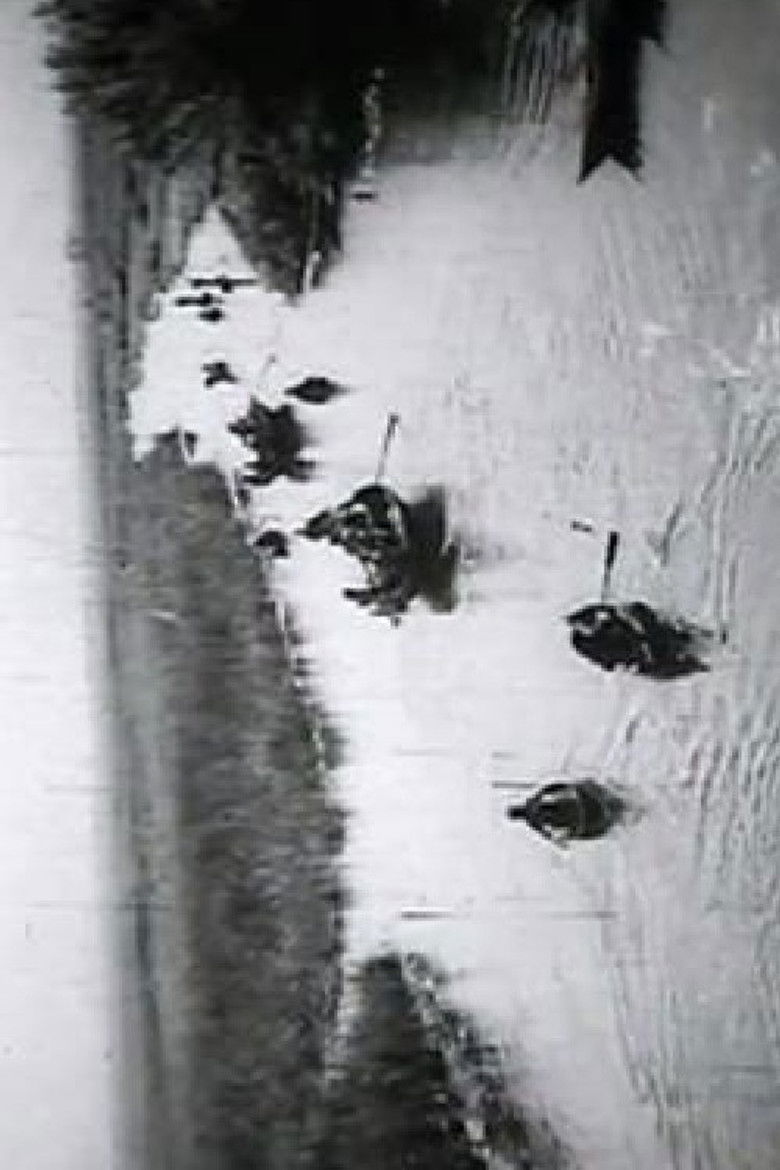 Imatge de Ljudi sa Neretve