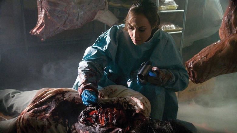 Imatge de Alien Raiders