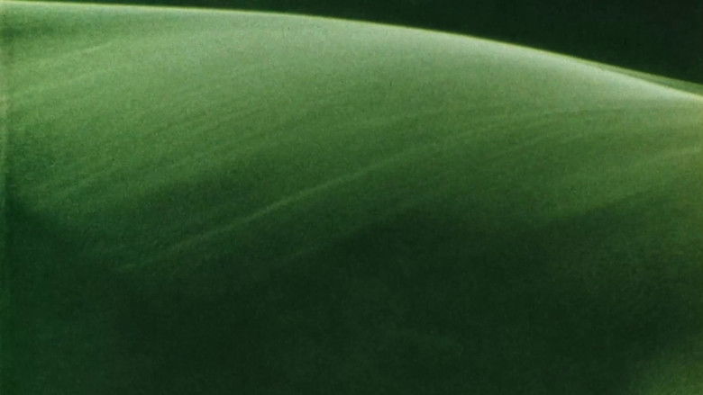 Gallery image from 1MT1WWdkRQQEXLsoD4VonY7KBkb.jpg