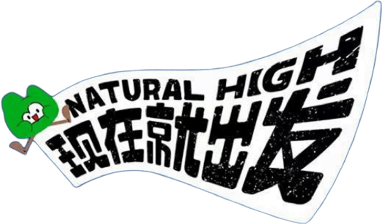 film Banner