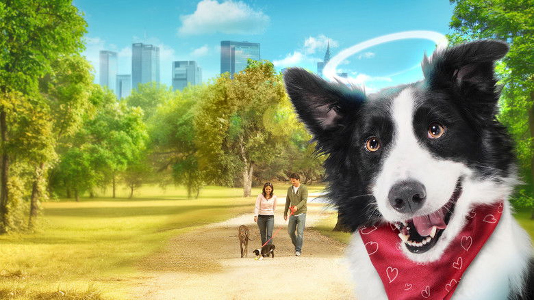 Image d'arrière-plan 3 du film Cooper, un amour de chien