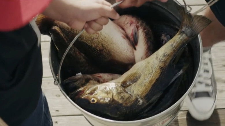 Gallery image from 1N1TC4qVtO7XUt579H4GNJM2YxO.jpg