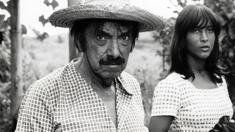 Still from A Banda das Velhas Virgens