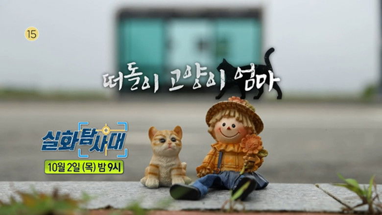 Still image for 실화탐사대 season 1 episode 331: Episode 331