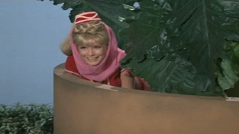 I Dream of Jeannie Season 2 Episode 13