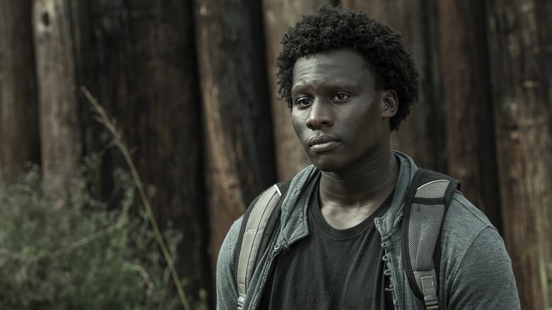 The Walking Dead Saison 11 Episode 16 Streaming Voir The Walking Dead: Saison 11 Episode 16 Streaming VOSTFR VF [HD]