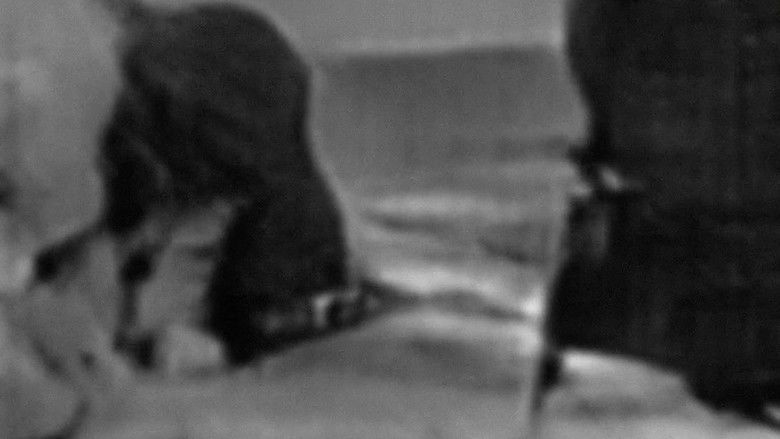 Gallery image from 1O4kzjLFjH7pgQBZwgt5tB7lI3W.jpg