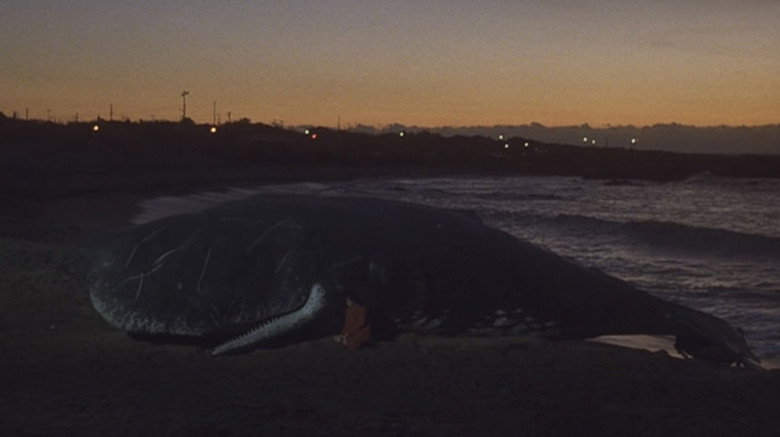 Frame from A Day on the Planet