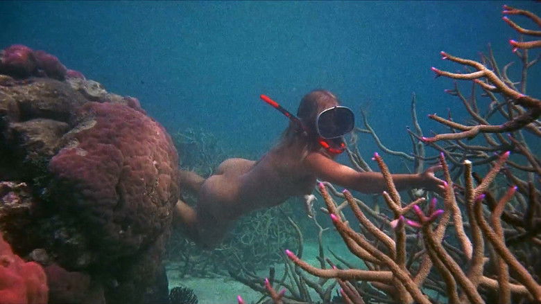 1ocg1cm4th67t8wk8mmeldzs7hh