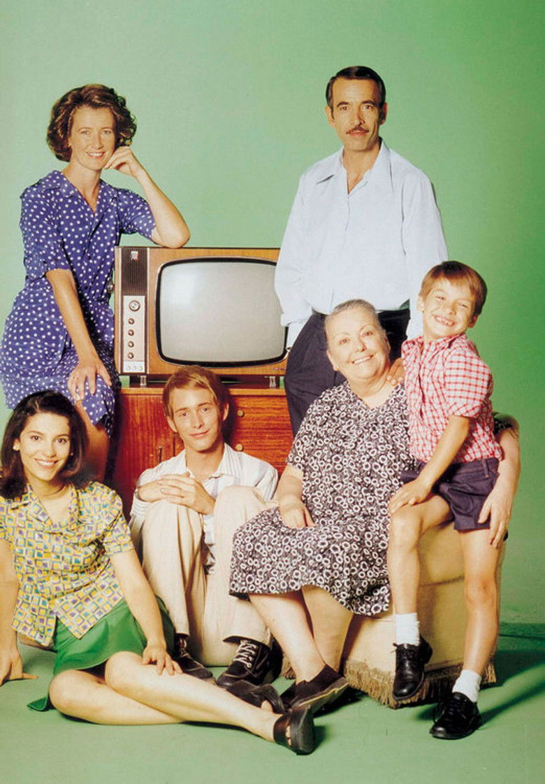 Cuéntame cómo pasó TV show poster