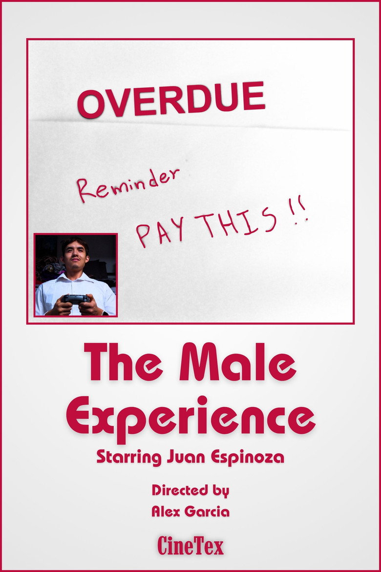 Imatge de The Male Experience
