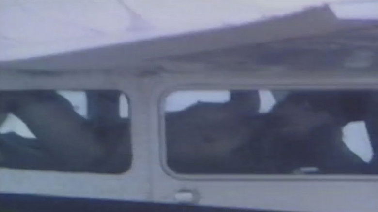 Imatge de 悶絶飛行 肉唇