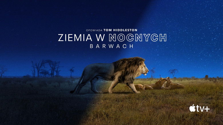 Gallery image from 1Pqlh1MI7uZ1kLqak9tXTQhSj16.jpg