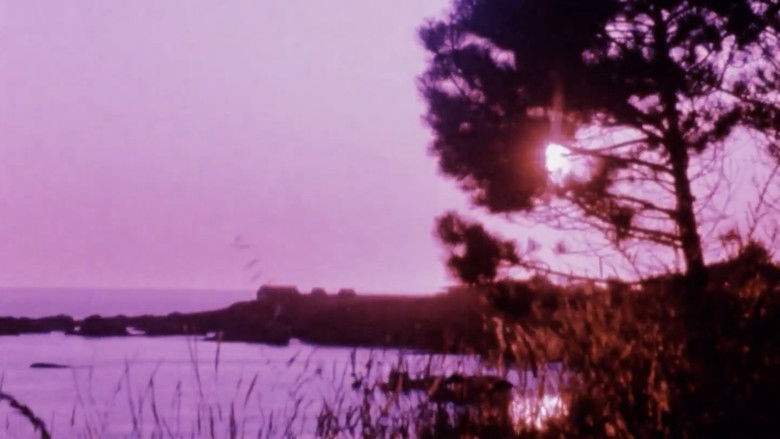 Imatge de Matter of Clarity