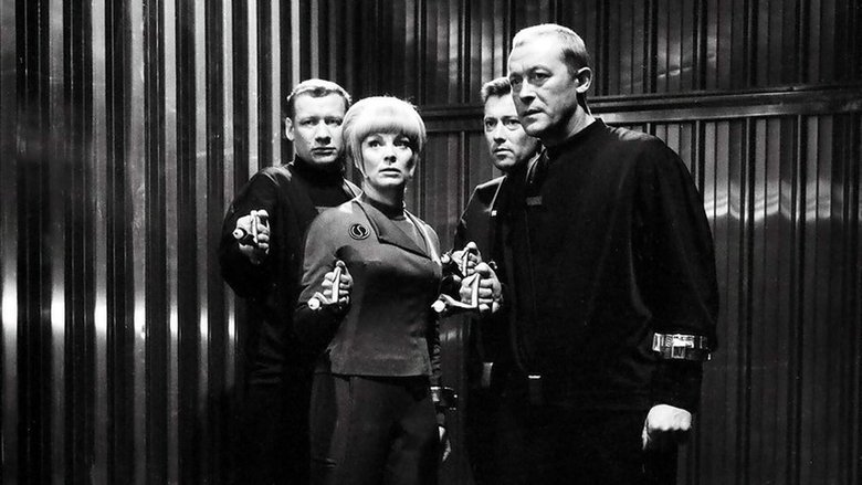 Gallery image from 1QNM8SvuRumTFV2nKpmyuj0pjeM.jpg