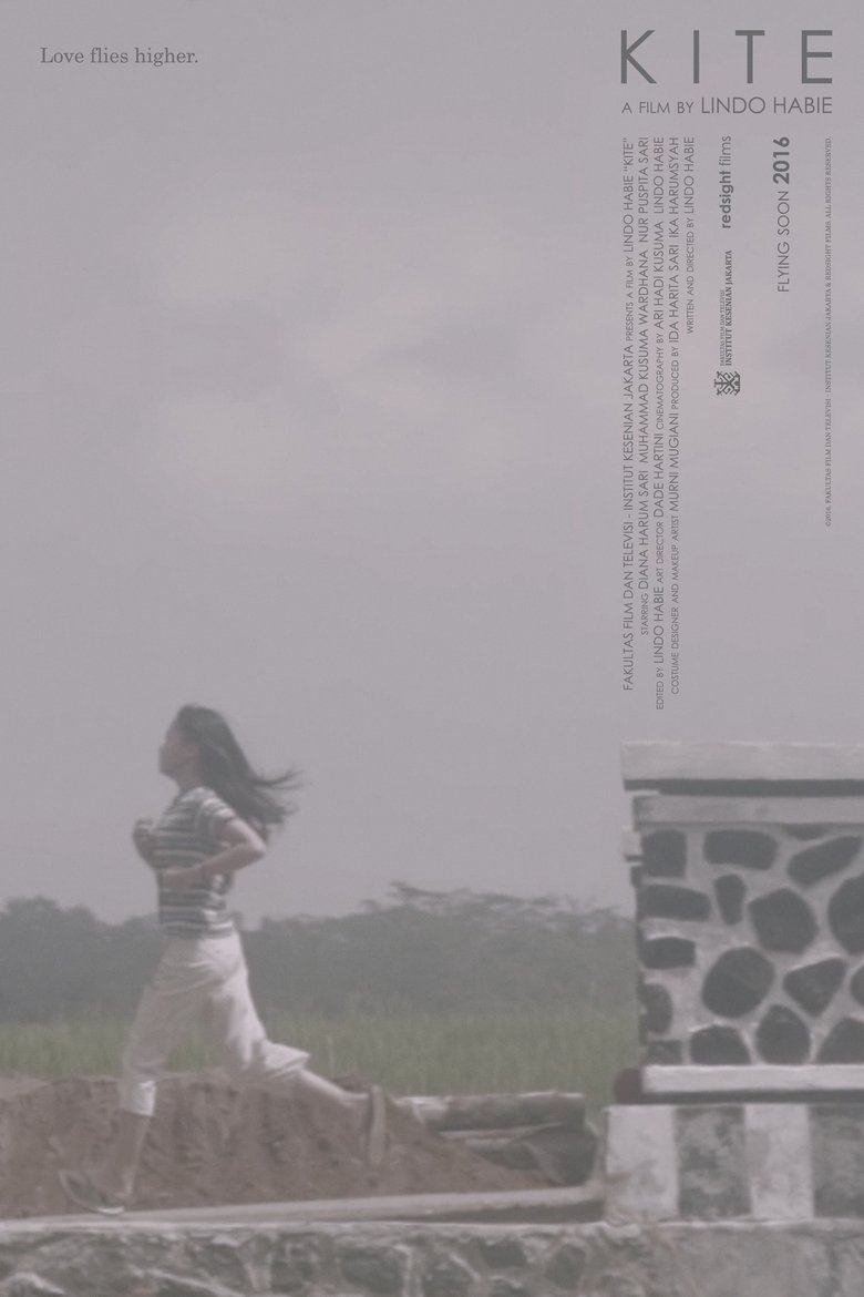 Kite (2016)