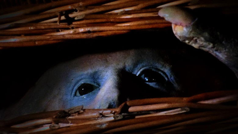 Backdrop de Basket Case Collection