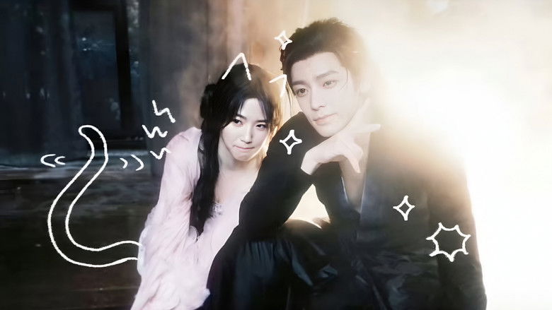 Gallery image from 1R4G1V9XuLDOIK2D9pxkmr1g4W7.jpg