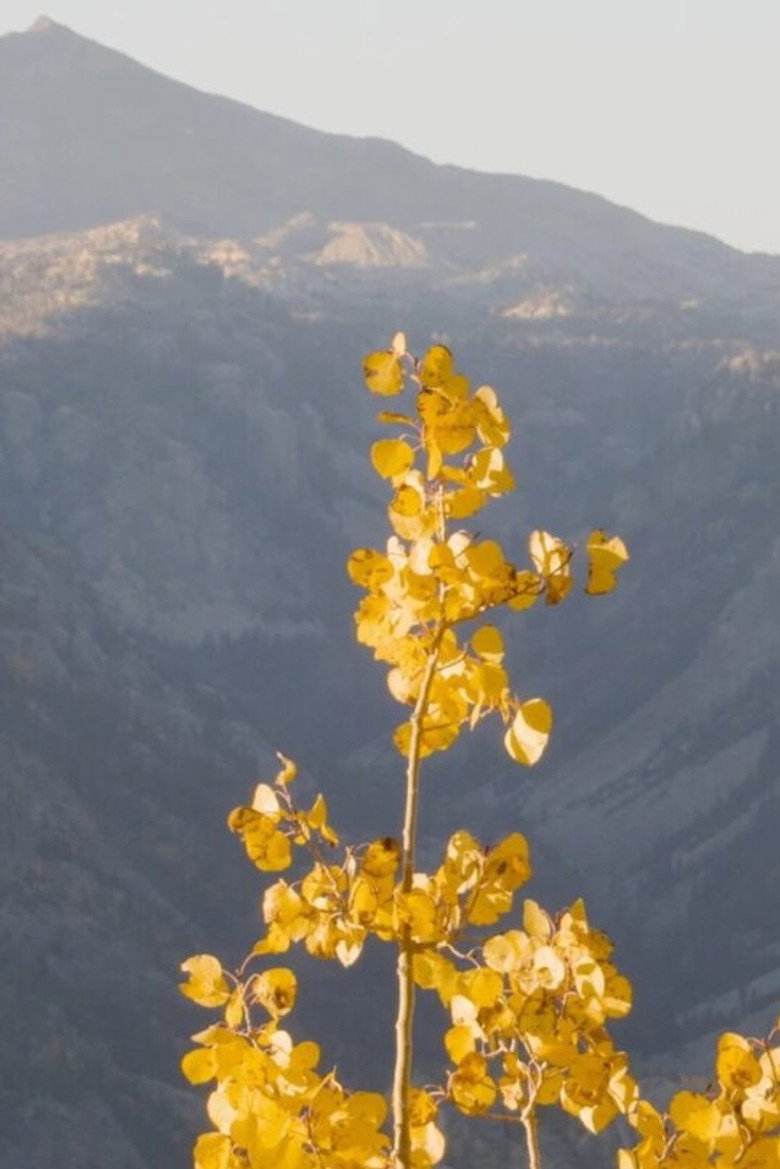 The Climate Change Volumes: Fall background