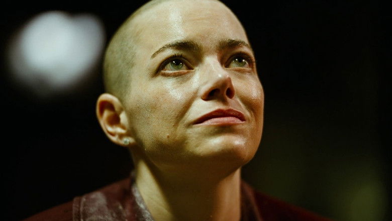 1rsmsnsyjonxyzxajazbrmtib3k