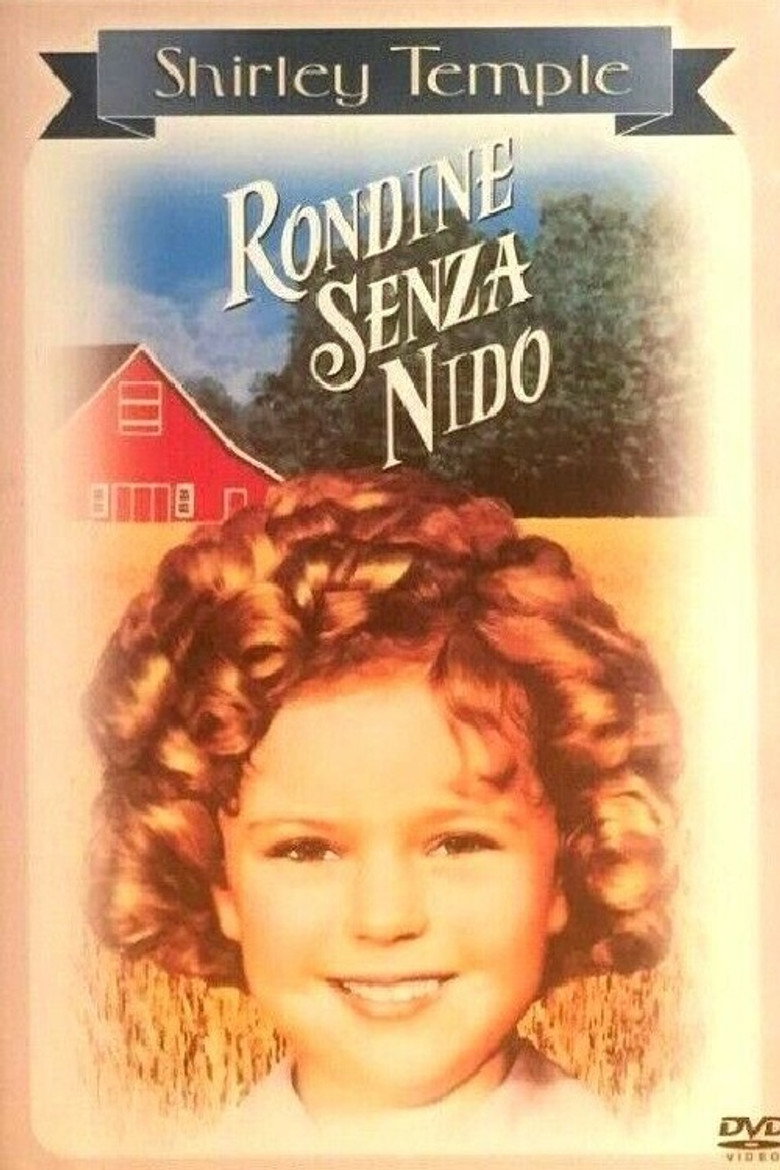Copertina di Rondine senza nido
