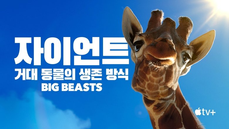 Gallery image from 1SaZsNFYbl3zAnwxe5n8YTlQnBi.jpg