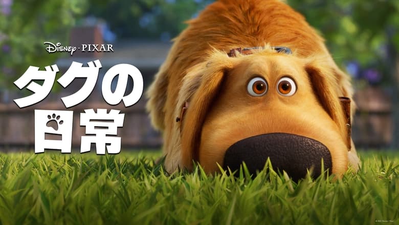 Gallery image from 1SwRPB1109AYQdU3ViXDWt5P0QO.jpg