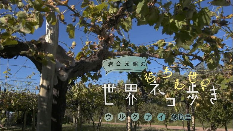 Still image for Mitsuaki Iwago's World “Cats” Travelogue season 1 episode 19: Uruguay Still image for Mitsuaki Iwago's World “Cats” Travelogue season 1 episode 19: Uruguay