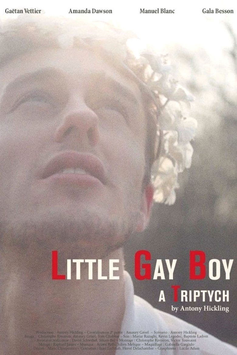 Little Gay Boy main poster