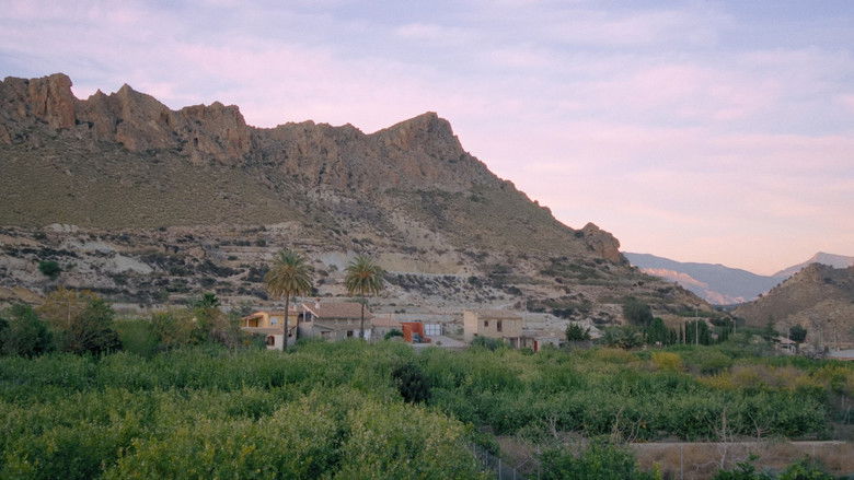 Imatge de Aceite y Agua