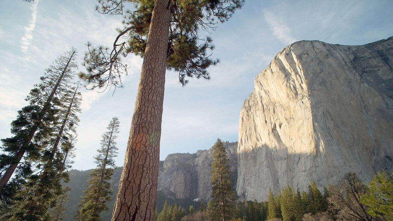 Image d'arrière-plan 2 du film Les parcs nationaux américains, 150 ans au service de la nature