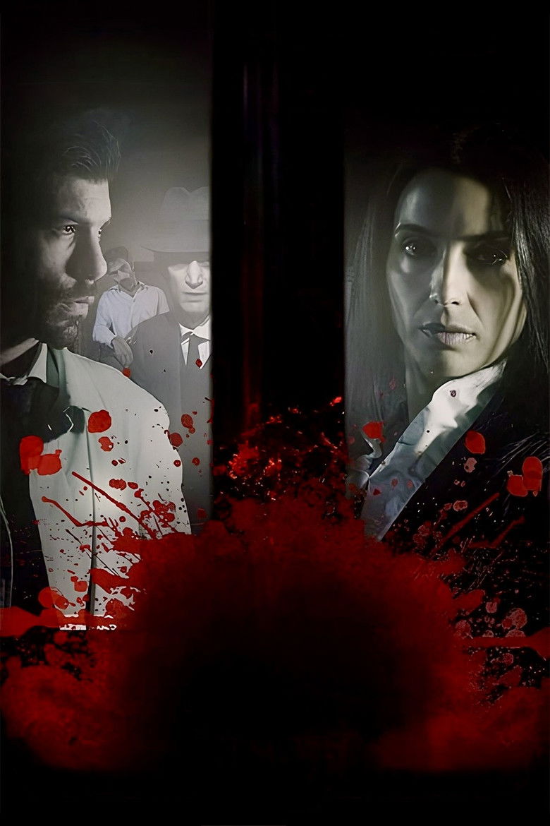 Imatge de Vien di notte