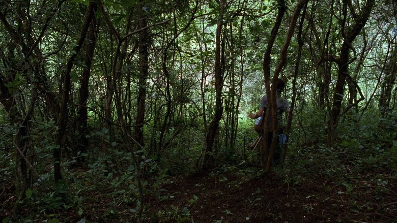 La Ciénaga (2001)