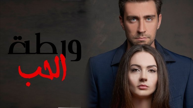 Gallery image from 1VCsJLFS83OALfd9SRo80z1P1Di.jpg