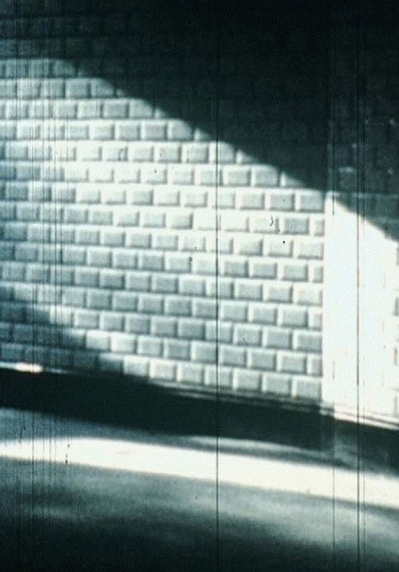 Imatge de Passage du thermomètre