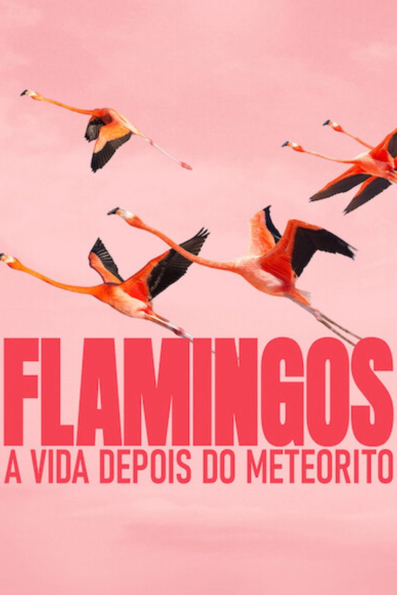 Flamingos: A Vida Depois do Meteorito