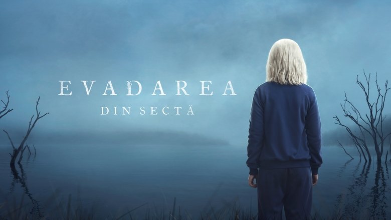 Gallery image from 1VkSvh6vOeip3IsuLB16zFeCHdC.jpg