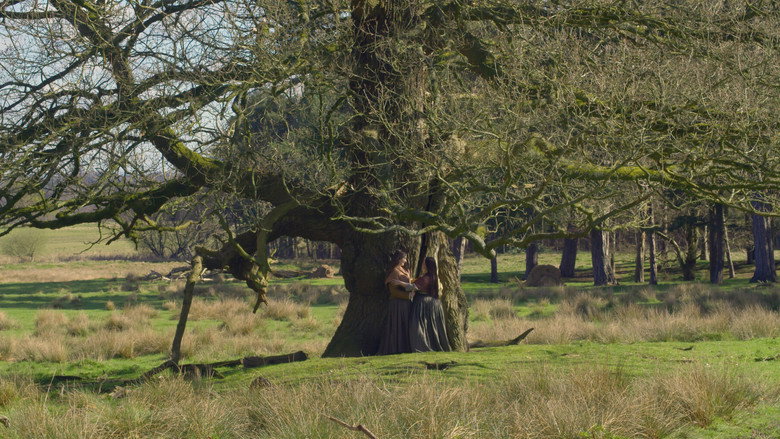 Old Knobbley still 2