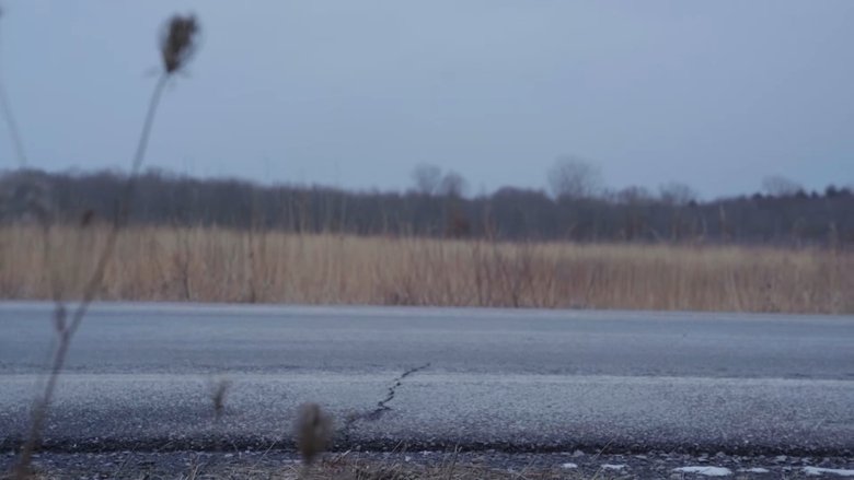 Gallery image from 1WY6wwdXRoJWUGA0RywOIWd5Unb.jpg