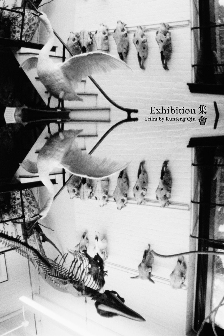 Exhibition background