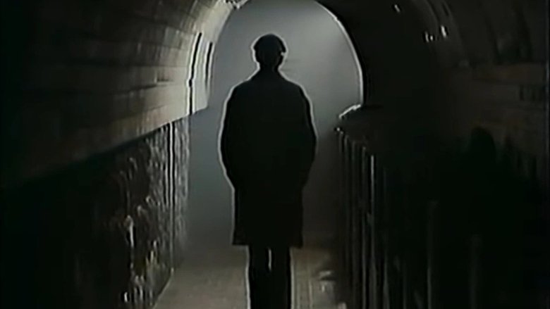 Gallery image from 1X0iazvLLb7w8ICg2oZkVtDBnMN.jpg