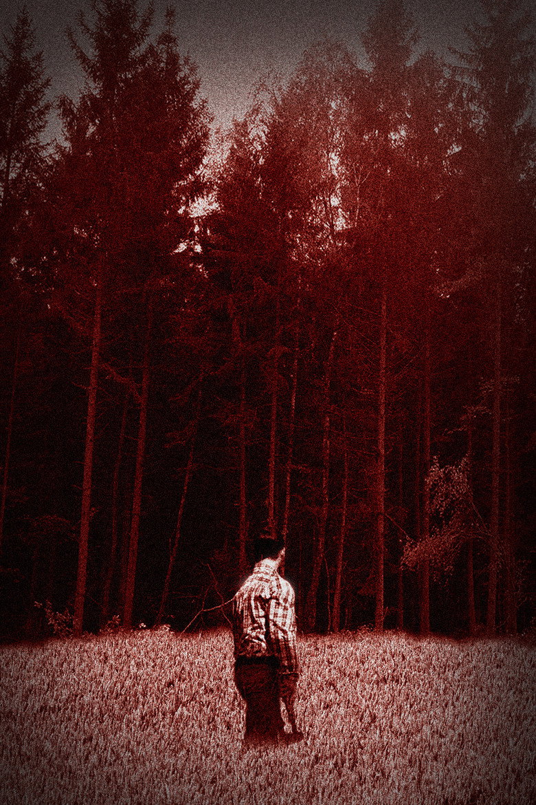 Imatge de No One in the Woods