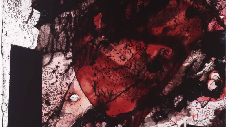 Imatge de Xtended Release